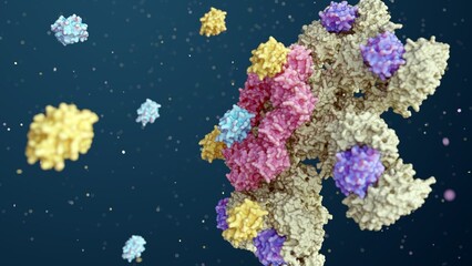 3d rendering of Caspase-9 is activated on the apoptosome complex and caspase-9 activate caspase-3 - obrazy, fototapety, plakaty