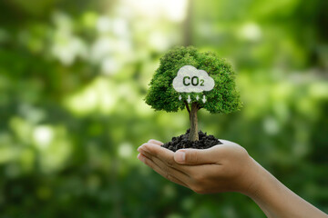 Reduce emission and Carbon neutral concept. Hand holding a tree with a CO2 symbol to limit climate change and global warming, and eco-friendly environment to green business. - obrazy, fototapety, plakaty