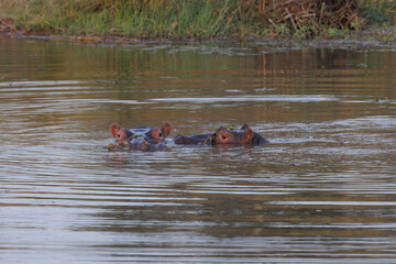 Fototapeta premium Over-landing and nature in Southern Africa
