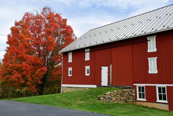 colorful  maple fall foliage next to  a red farmhouse in mcknightstown,  near gettysburg, pennsylvania