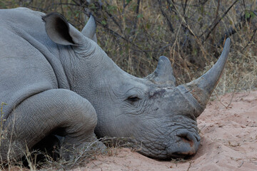 Over-landing and nature in Southern Africa