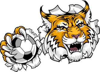 A wildcat or bobcat soccer football ball animal sports team mascot