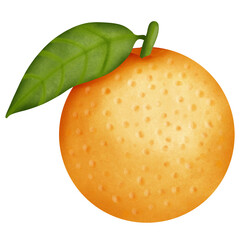 illustration of an orange