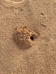 House for sand bugs Sand pit house