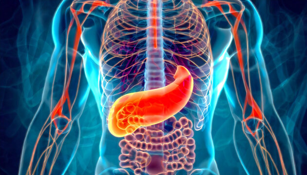3D Visualization Illustration of Man's Pancreas Anatomy, 3D Exploration of the Pancreatic Anatomy in Man's Digestive System, Generative AI
