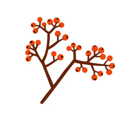 Red berries, tree branch. Holly, ilex fruits on twig. Christmas plant, winter sprig. Festive rowan spray. Xmas holiday decoration. Flat graphic vector illustration isolated on white background