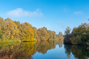 Fototapeta na wymiar Autumn in Flevoland province, The Netherlands || Herfst in Flevoland