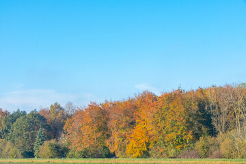Herfst - Herfst 