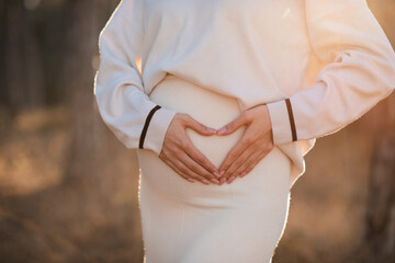Close up tummy of pregnant woman making heart shape with hands wearing knitted sweater in sun light outdoor over nature background. Maternity lifestyle. Winter season. - obrazy, fototapety, plakaty