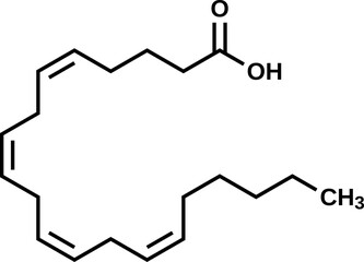 Arachidonic acid structural formula, vector illustration