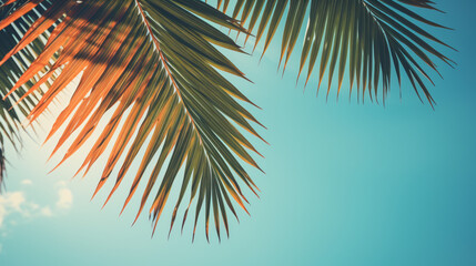Tropical palm leaves over sky background vintage tone - obrazy, fototapety, plakaty