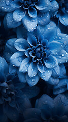 Blue flowers with water drops background             