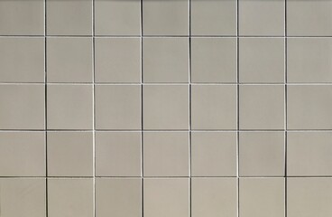 Classic light gray ceramic tiles. Square shaped, for interior or exterior wall. Background and texture.