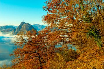 Mountain Peak San Salvatore Above Cloudscape with a Autumn Tree and Sunlight with Clear Sky in Lugano, Ticino in Switzerland.