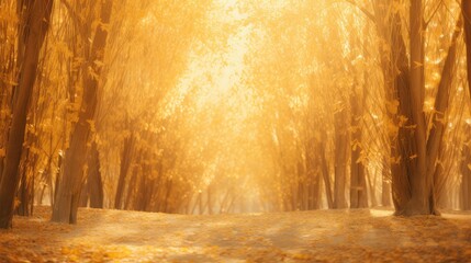 sun natural golden dry sunlit illustration beauty orange, colors horizon, soil atmospheric sun...
