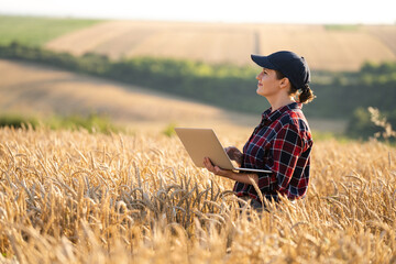 Naklejka na ściany i meble Woman farmer working with laptop on wheat field. Smart farming and digital agriculture..