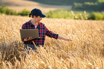 Naklejka na ściany i meble Woman farmer working with laptop on wheat field. Smart farming a