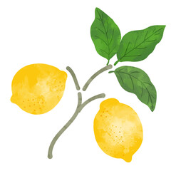 水彩風のレモンのイラスト
Watercolor-style Retro Lemon Illustration
