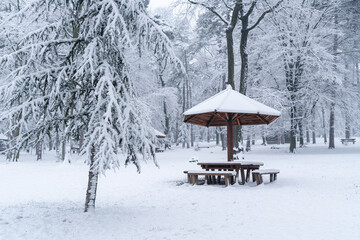 Snow covered winter park during snowfall.