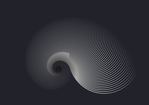 Fototapeta graphic swirling shell in dark silver shades