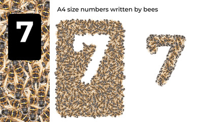 A4 size number writter by bees