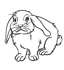 hand drawn bunny rabbit vector illustration