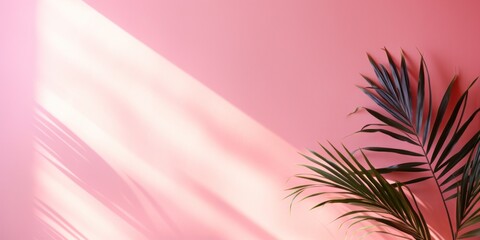 Pink wall with palm leaves. Minimal abstract background for product presentation. Spring and summer give. Copy space banner
