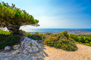 View of the landscape and the Mediterranean Sea from a mountain on the Greek island of Kos.	 - obrazy, fototapety, plakaty