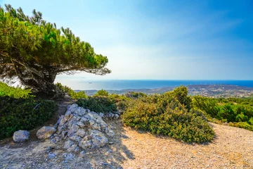 Foto op Canvas View of the landscape and the Mediterranean Sea from a mountain on the Greek island of Kos.  © Elly Miller