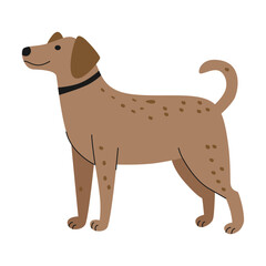 flat illustration of dog animals