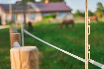 An electric fence with wires and insulator equipment secures a pasture where horses and cows feed...