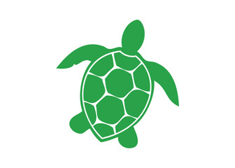 Obraz premium Turtle