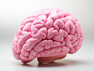 Pink human brain on white background in 3D - 677572586