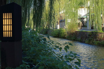 京都　白川沿いの風景