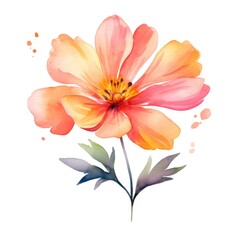 watercolor flower illustration with splashes on a white background.