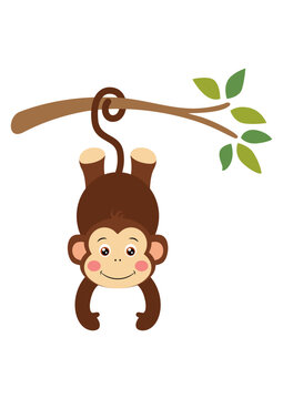 Cute monkey hanging on branch of tree