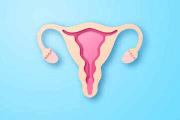 Paper craft of the woman uterus on blue background. Cross section of woman uterus for women's health care concept.