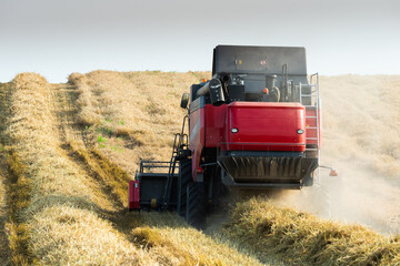 Harvester working in wheatfield at sunset.
