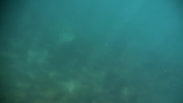 Slow-motion footage of submerging and emerging above the sea water, slightly turbulent waves on a sunny day.