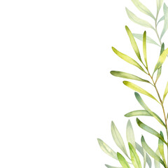Watercolor card with olive branches isolated on a white background.
