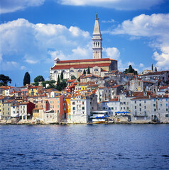 Naklejka premium ZUP-036102