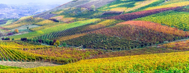 Gardinen famous wine region in Treviso, Italy. Valdobbiadene hills and vineyards on the famous prosecco wine route , autumn landscape scenery with colorful fields of grapewine © Freesurf