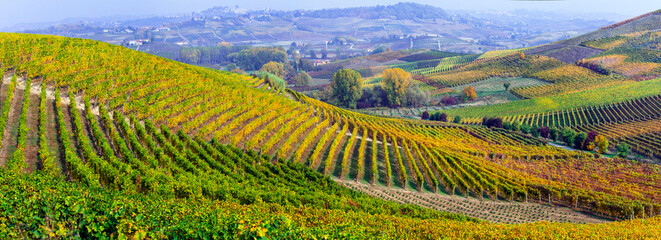 famous wine region in Piedmont, Italy. Scenic villages between the hills and vineyards.  autumn...