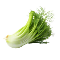 Fennel isolated on transparent background