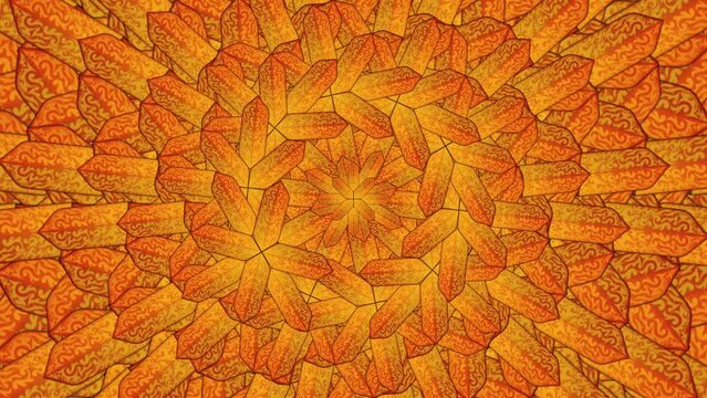 Looping Background Dayak Shield