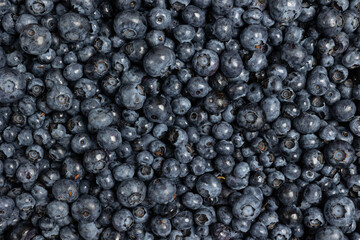 Ripe blueberries in a layer on a plate. Blueberries background.