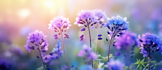 In the vast field of vibrant green and blue wildflowers in shades of purple dance freely embracing the beauty of nature and the outdoors