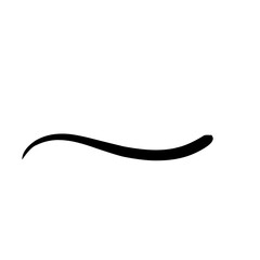 Hand drawn lettering and calligraphy swirls, squiggles. Vector ink decorations for composition