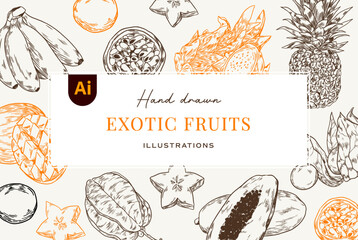 Hand drawn Exotic fruits illustrations (Vector)
