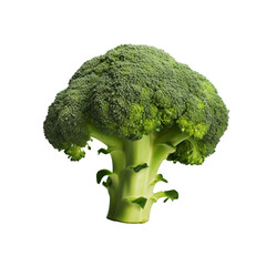 Fresh broccoli isolated on transparent background
